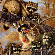 Схема вышивки «семья енотов»