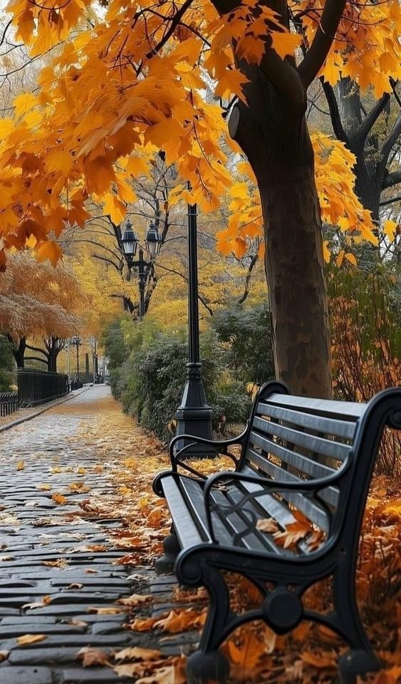 Осень - скамейка, парк, пейзаж, осень - оригинал
