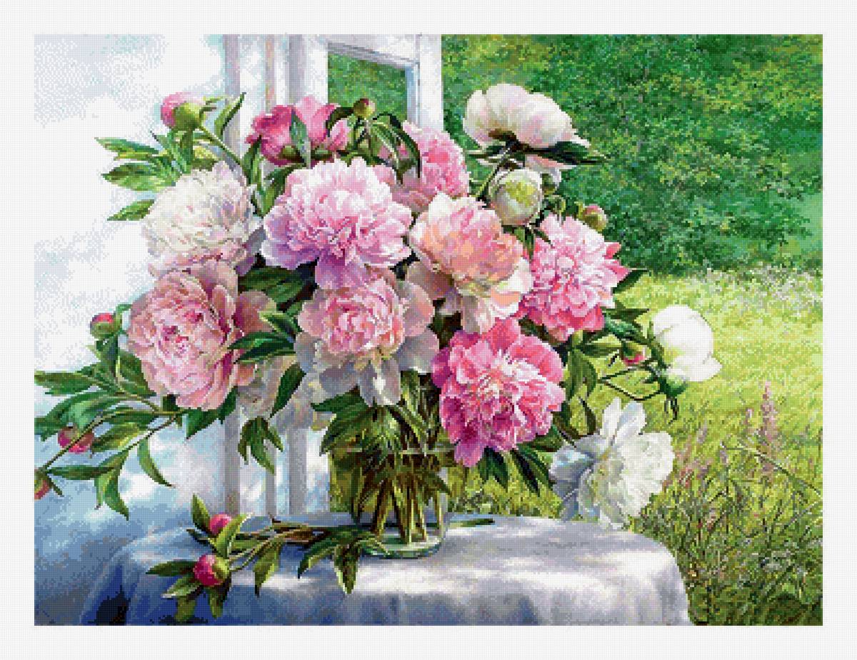 пионы - предпросмотр