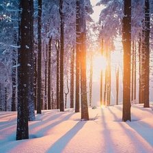 Схема вышивки «Утро в зимнем лесу»