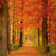 Схема вышивки «Осень»