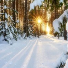 Схема вышивки «Утро в лесу»