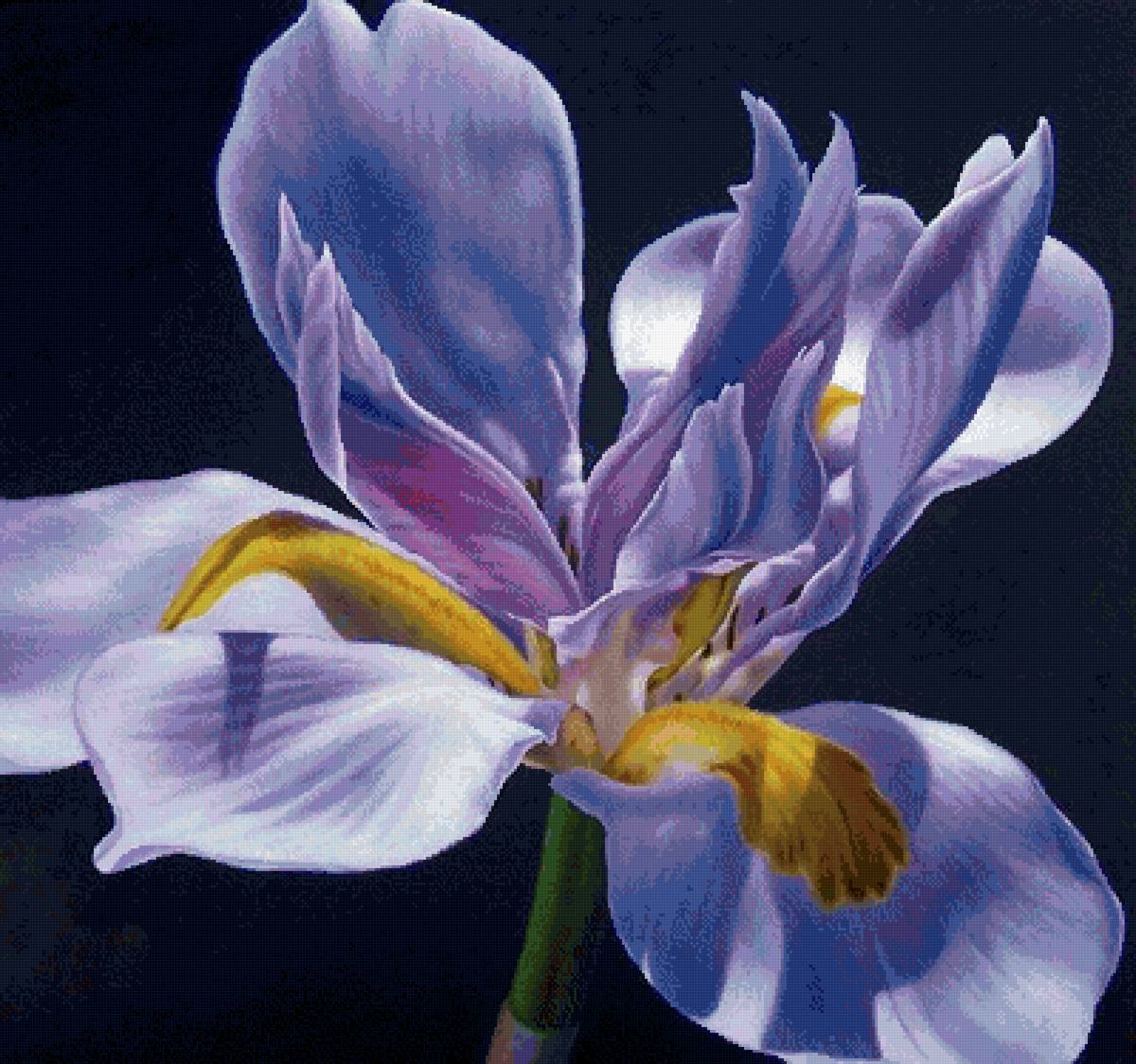 №2820350 - предпросмотр