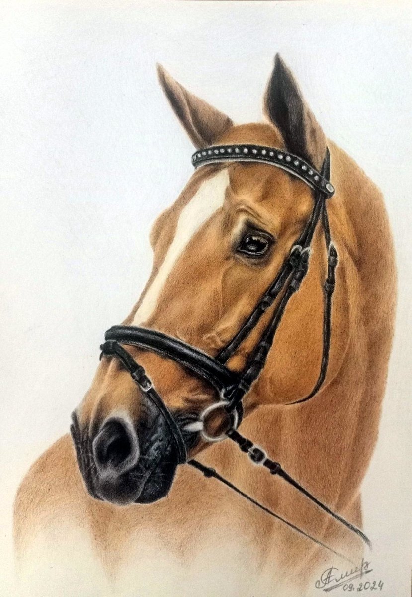 №2820383 - 🐎 - оригинал