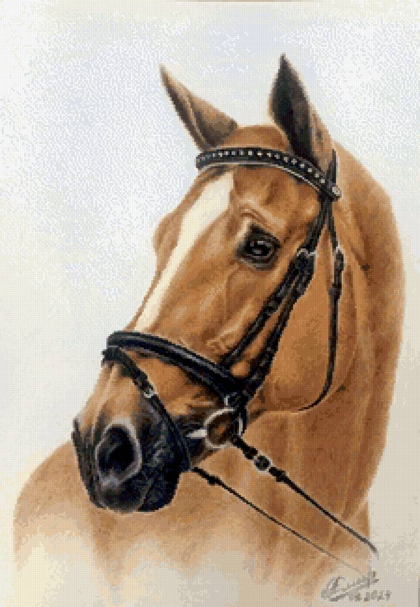 №2820383 - 🐎 - предпросмотр