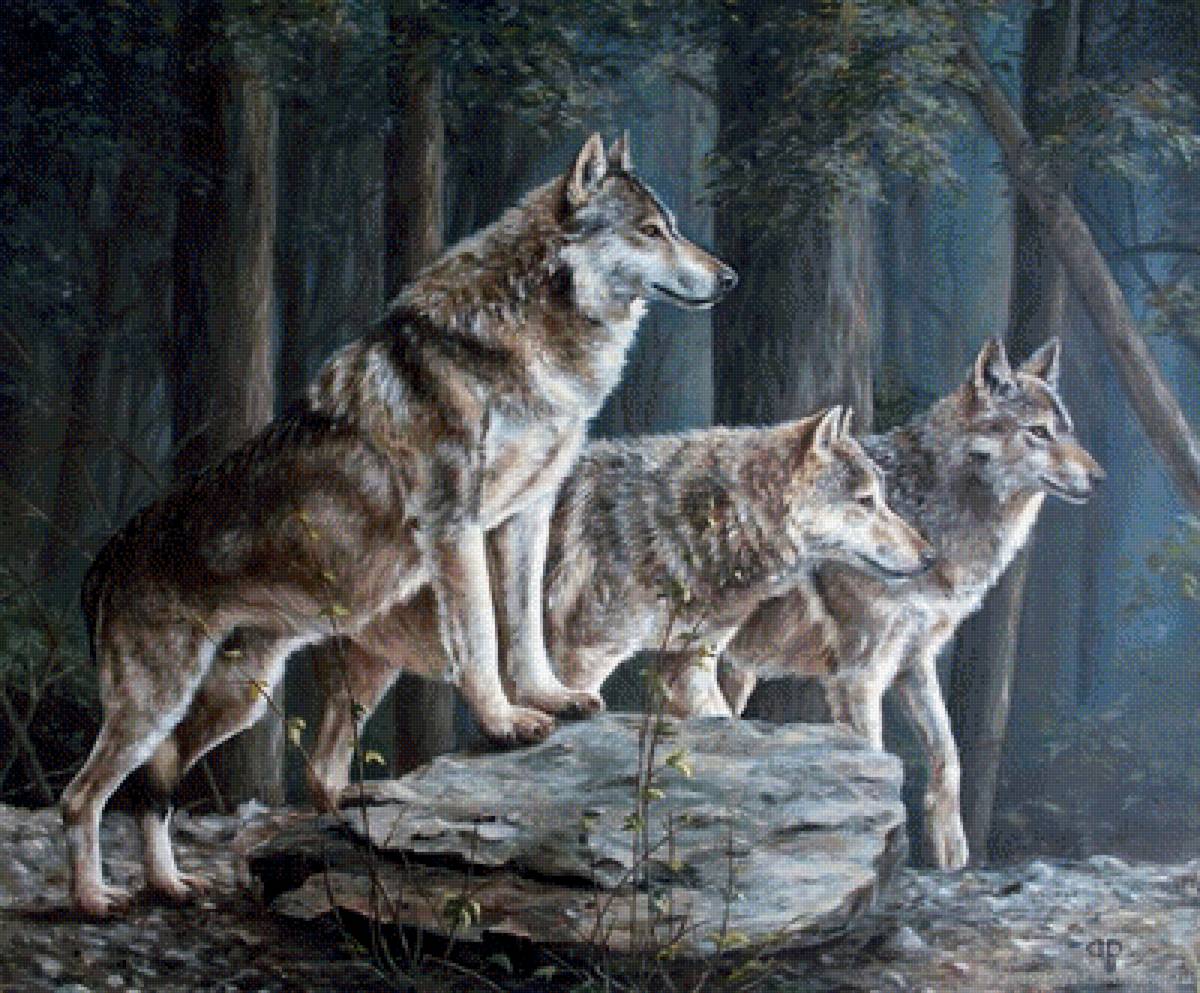 Волки - художники - предпросмотр