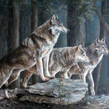 Схема вышивки «Волки»