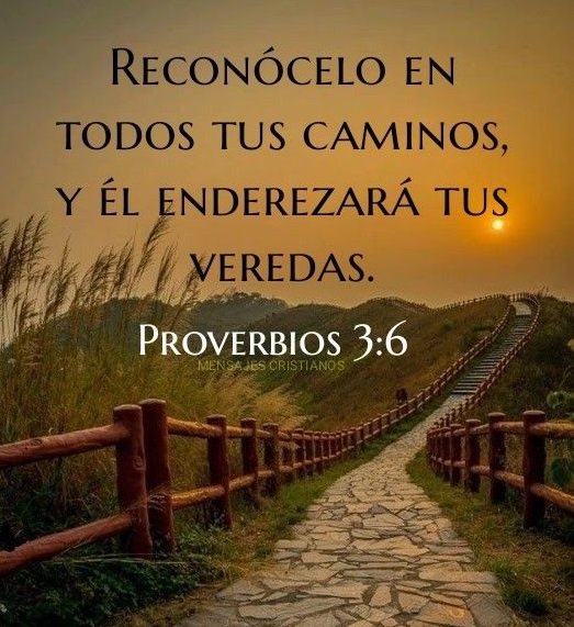 Proberbios 3.6 - texto biblico - оригинал
