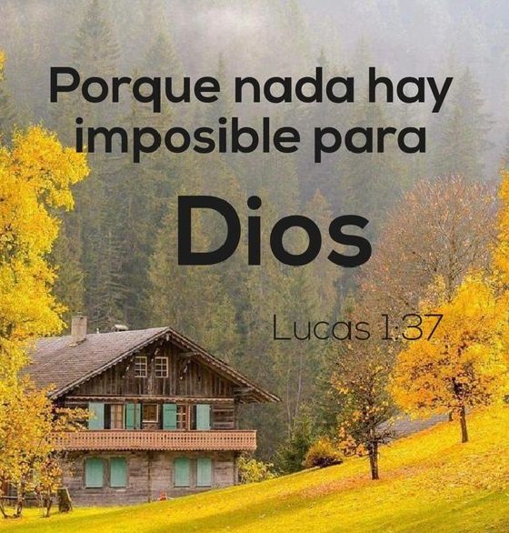 Lucas 1.27 - texto biblico - оригинал