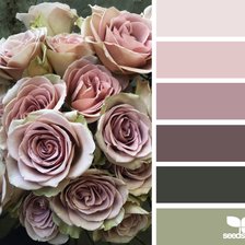 Схема вышивки «роза пыльная»