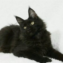 Схема вышивки «масяня»