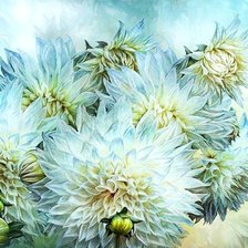 Схема вышивки «Нежность хризантем»