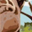 Предпросмотр схемы вышивки «Жирафы» (№2822148)