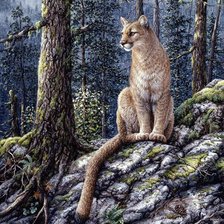 Схема вышивки «Пума. Джефф Тифт»