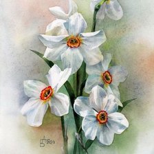 Схема вышивки «Нарциссы»