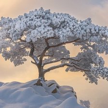 Схема вышивки «№2822462»