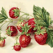 Схема вышивки «Земляника»