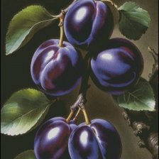 Схема вышивки «Слива»