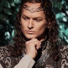 Схема вышивки «Финрод»