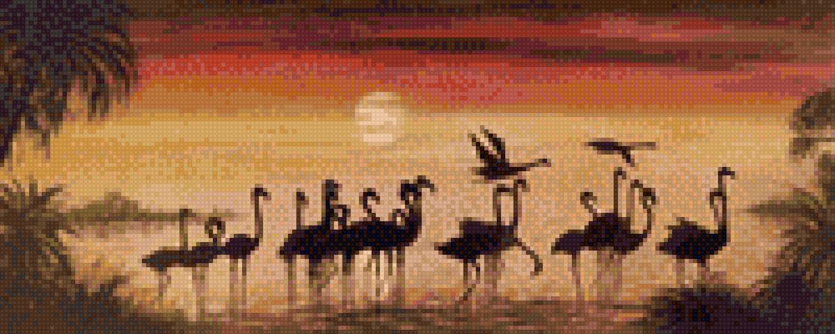 фламинго - предпросмотр