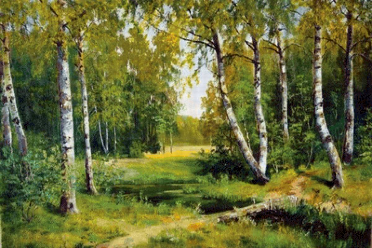 Берёзовая роща - березовая роща - предпросмотр