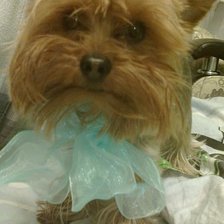 Схема вышивки «№2823492»