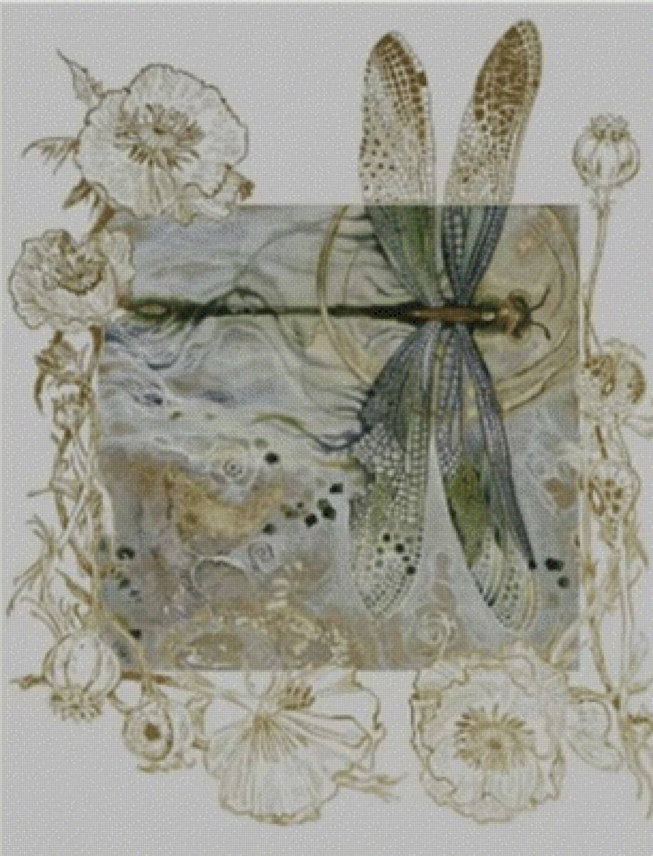 Стрекоза - стрекоза - предпросмотр