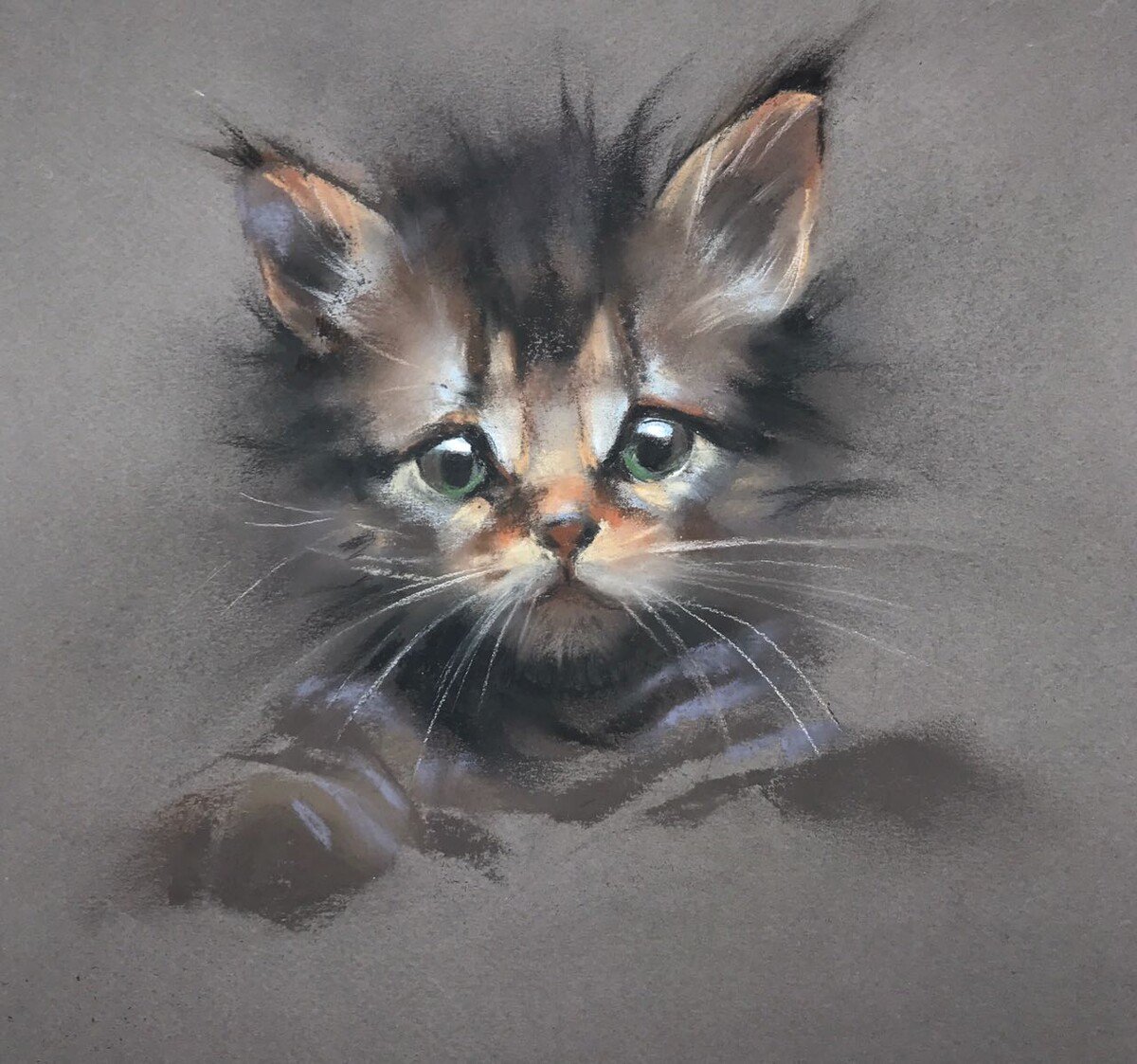 Котёнок. Сухая пастель. Елена Таткина - русские художники - оригинал