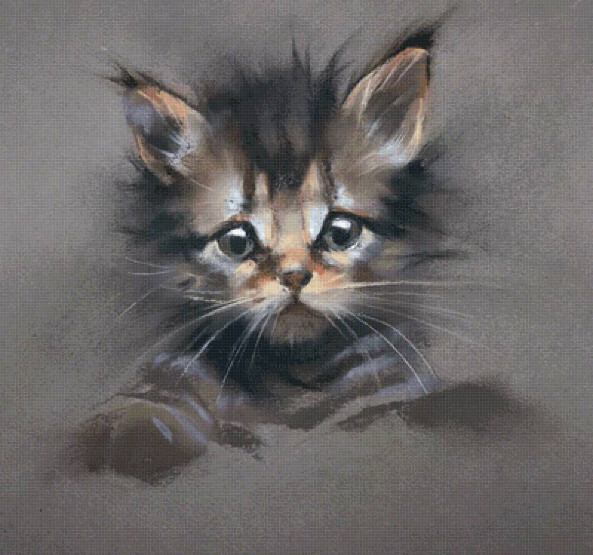 Котёнок. Сухая пастель. Елена Таткина - русские художники - предпросмотр