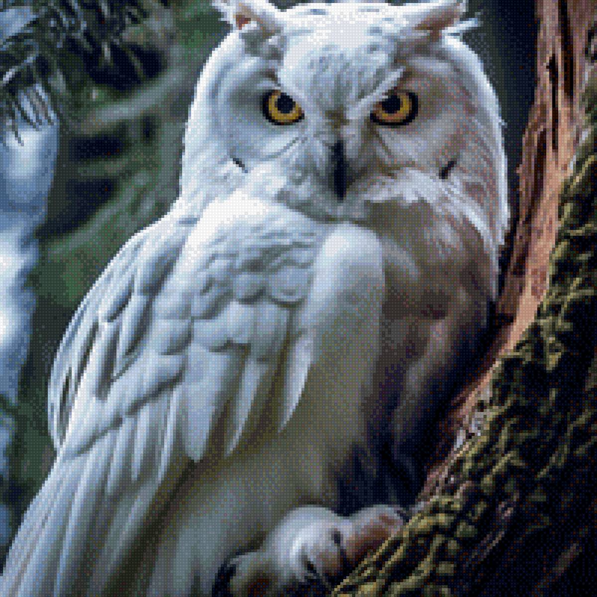 Лесной житель - предпросмотр