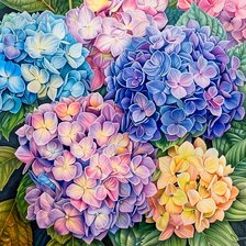 Схема вышивки «гортензия»