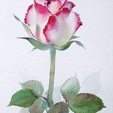 Схема вышивки «Роза»