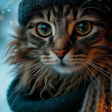 Схема вышивки «Котик»