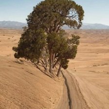 Схема вышивки «№2825571»