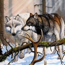 Схема вышивки «№2825700»