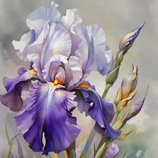 Схема вышивки «Цветок ириса»