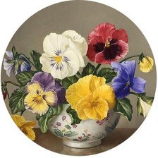 Схема вышивки «Анютины глазки в круге»