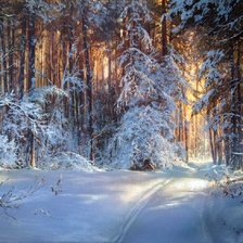 Схема вышивки «Юшкевич_2»