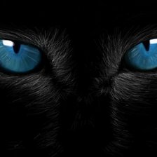 Схема вышивки «Взгляд»