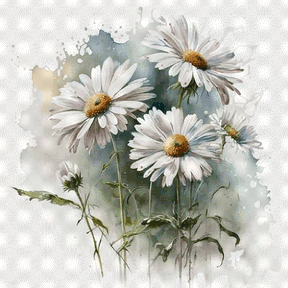 Акварельные ромашки - цветы, ромашки - предпросмотр