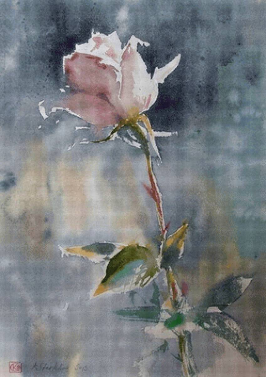 Роза. Акварель. Константин Стерхвов - русские художники - предпросмотр