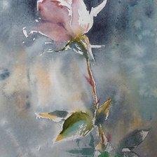 Роза. Акварель. Константин Стерхвов