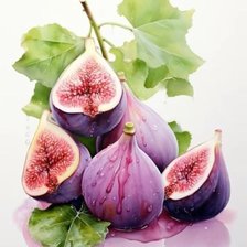 Схема вышивки «Инжир»