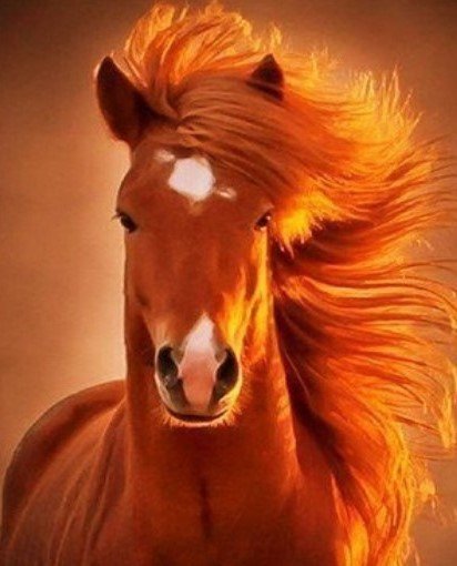 конь1г - оригинал