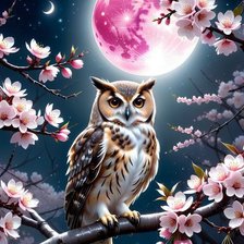 Схема вышивки «Сова»