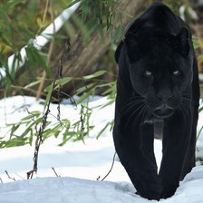 Схема вышивки «№2827699»