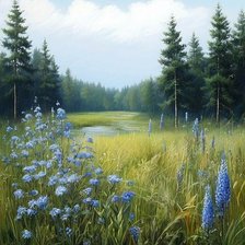 Схема вышивки «Поле»