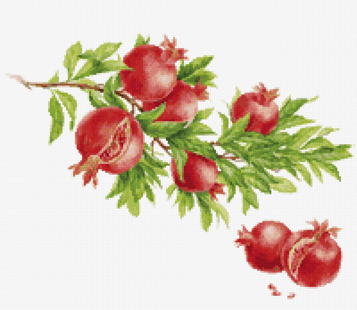 Гранатовая ветка - предпросмотр