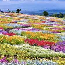 Схема вышивки «Wonderful Flower Garden»