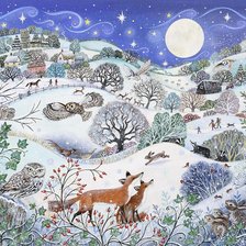 Схема вышивки «север»